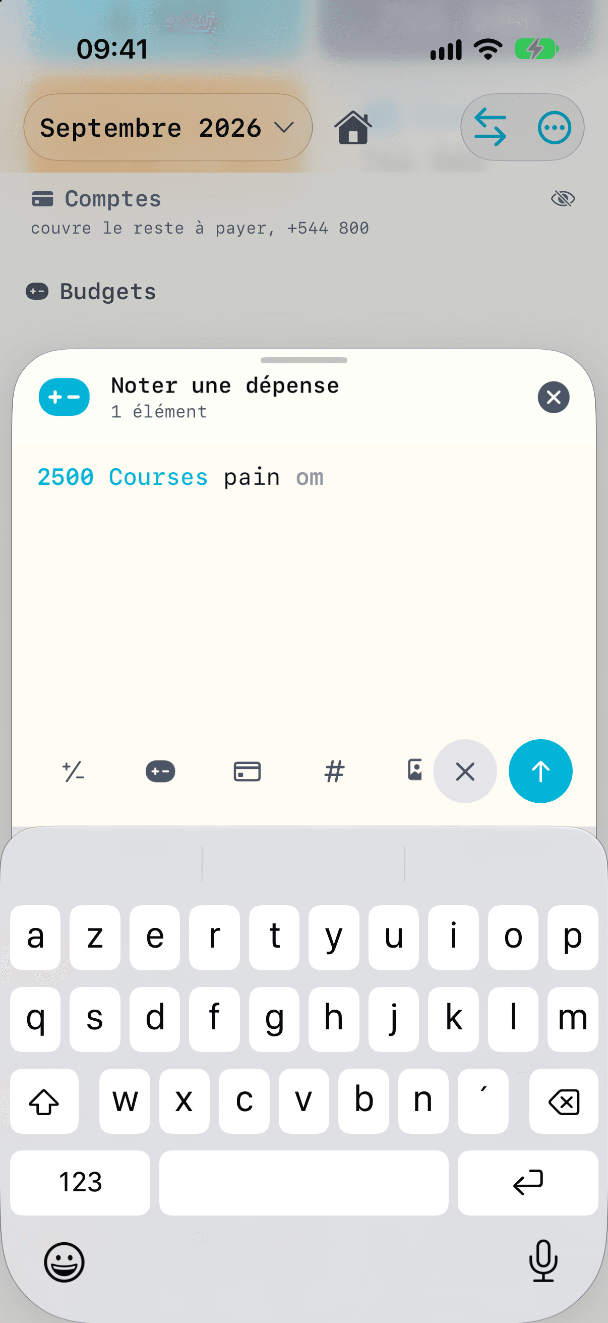 Saisie d'une dépense